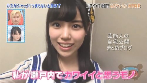 【可愛すぎる妹】STU48 岩田陽菜さんの実家と妹【画像】