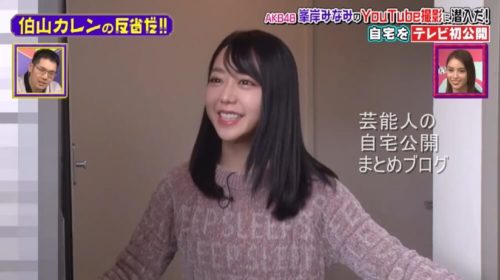 【AKB48】峯岸みなみさんの自宅【画像】
