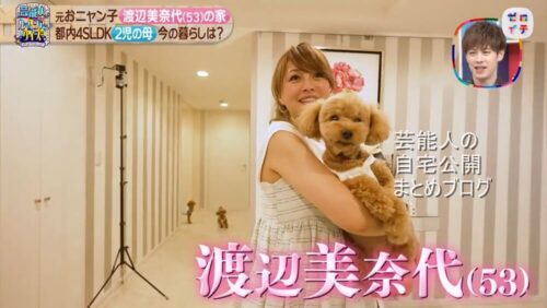【都内超一等地】渡辺美奈代さんのロイヤル自宅【画像】
