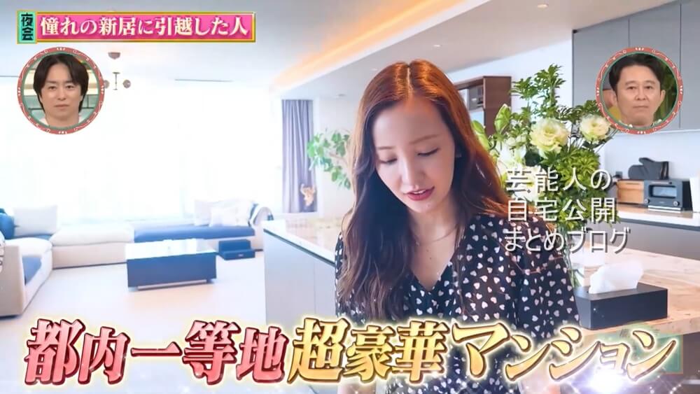 【都内一等地】板野友美さんと高橋奎二さんの超豪華な自宅【画像】