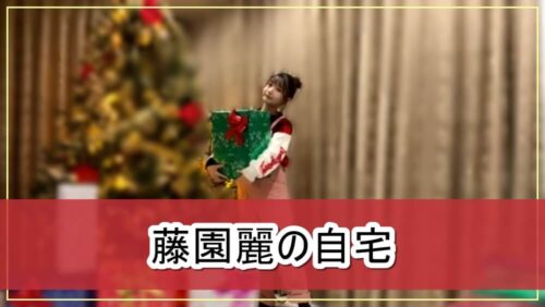 【鹿児島県代表】AKB48 藤園麗さんの豪邸自宅【画像】
