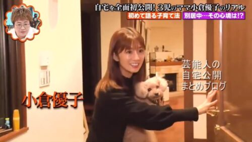 【暖炉付き】小倉優子さんの別居後の自宅全貌【画像】