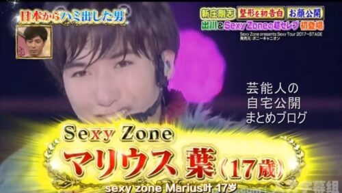 【皇族も来る】Sexy Zone マリウス葉さんの曾祖母の日本屋敷【画像】
