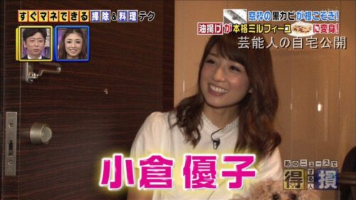 【離婚前】小倉優子さんの豪華自宅【画像】