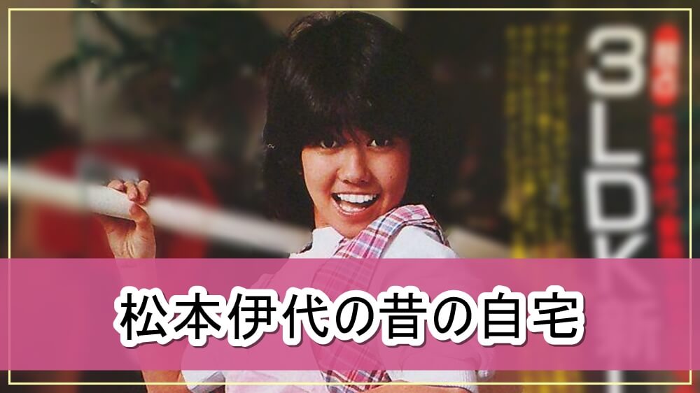松本 伊代 ヒロミ