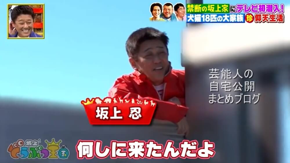 犬猫18匹 坂上忍さんの自宅 画像
