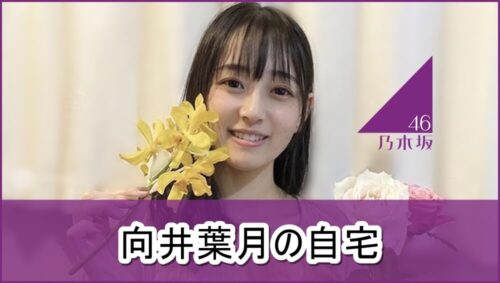 【乃木坂46】向井葉月さんの自宅一部【画像】