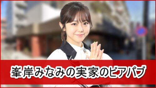【元AKB48】峯岸みなみさんの実家のビアパブ【画像】
