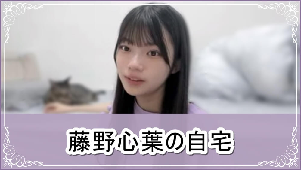 【HKT48】藤野心葉さんの自宅【画像】