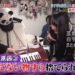 f:id:romarika:20200426212922j:plain