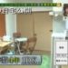 f:id:romarika:20170305150113j:plain