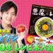 f:id:romarika:20210121162450j:plain