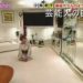 f:id:romarika:20170507050317j:plain