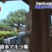 f:id:romarika:20171126032144j:plain