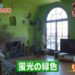 f:id:romarika:20180801160308j:plain