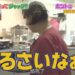 f:id:romarika:20190211230930j:plain