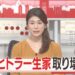 f:id:romarika:20190630185510j:plain