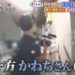 f:id:romarika:20190730161754j:plain